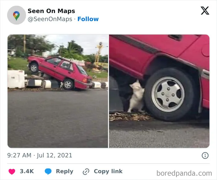 35 Divertidas imágenes en Google Maps que te harán reír