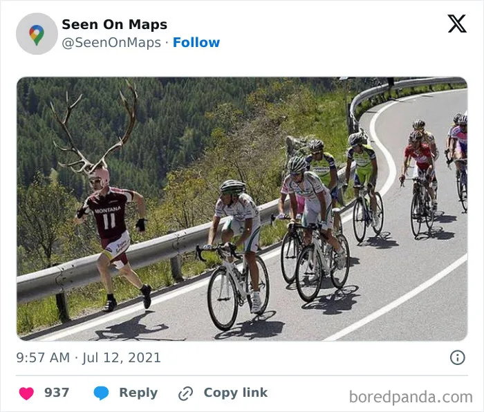 35 Divertidas imágenes en Google Maps que te harán reír