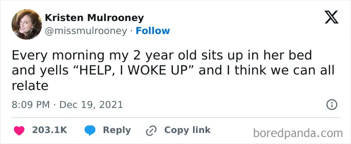 "Really Dumb Tweets": 50 Pearls From Twitter Posted By This Account