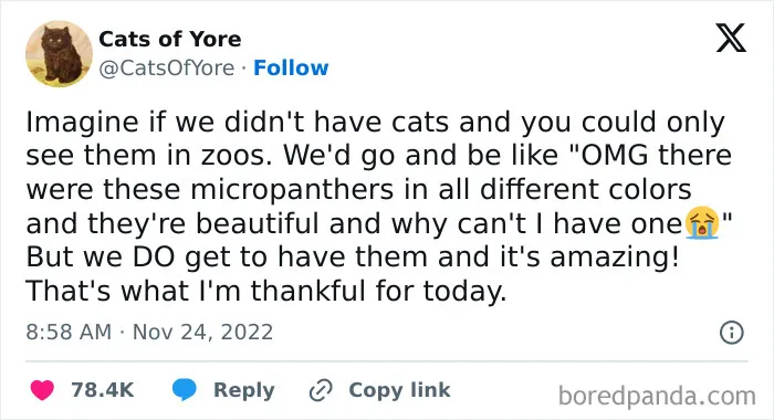 'Kitty Litterposting': 50 Funny Posts And Memes About Cats You May Wish You Could Tag Your Cat In (New Pics)