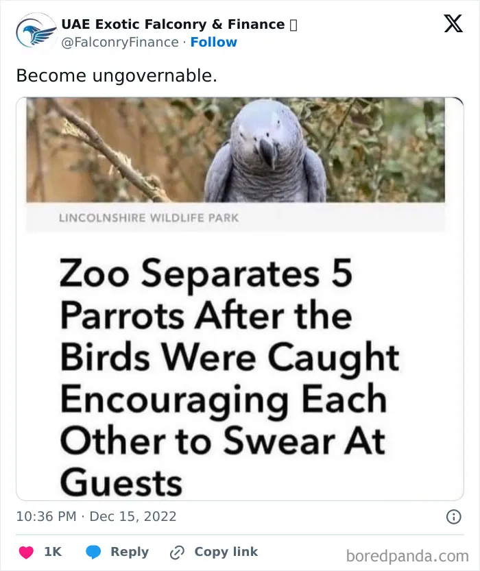 Ungovernable Bros