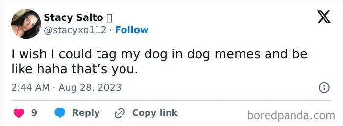 50 Painfully Relatable “Sarcasm Only” Memes To Enjoy While Things Fall Apart (New Pics)