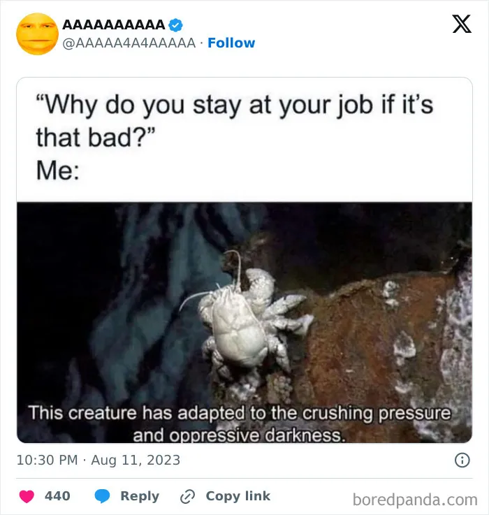 50 Hilariously Cursed Memes Collected By This Page