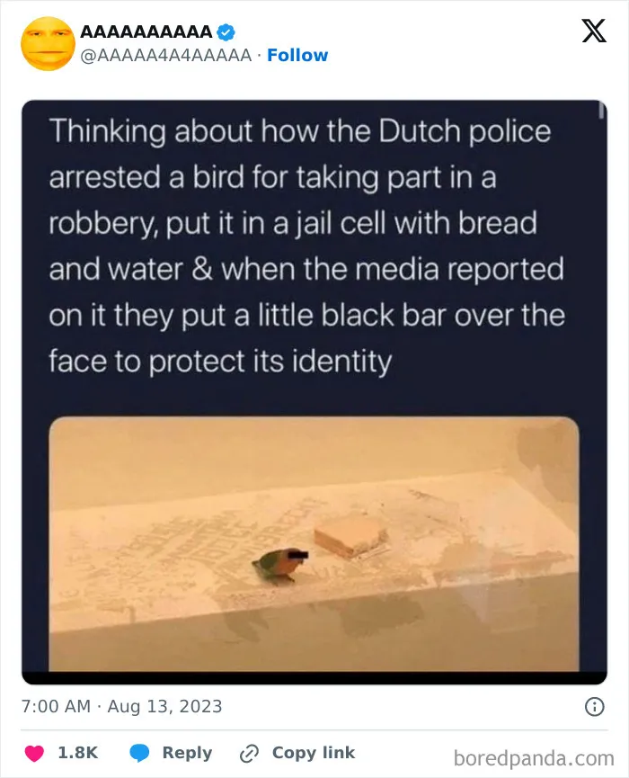 50 Hilariously Cursed Memes Collected By This Page