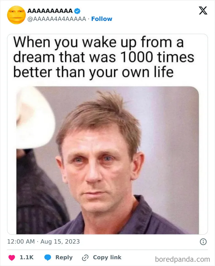 50 Hilariously Cursed Memes Collected By This Page