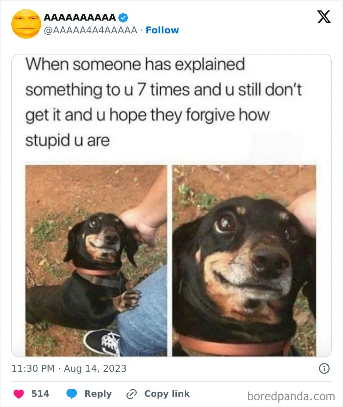 50 Hilariously Cursed Memes Collected By This Page