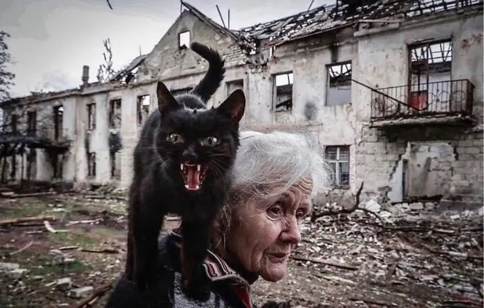 50 Examples Of The Most Amusing And Touching Cat Photos As Shared On This Insta Page
