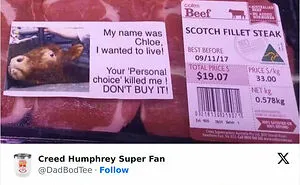 50 Weird Memes That Verge On Being Unhinged