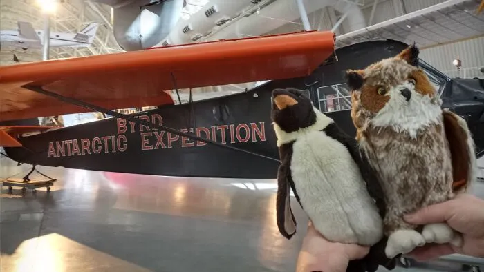 Waddles The Penguin And Hopper The Owl