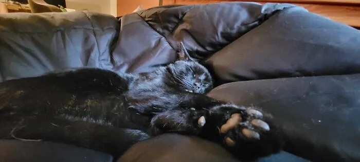 Lazy Beans