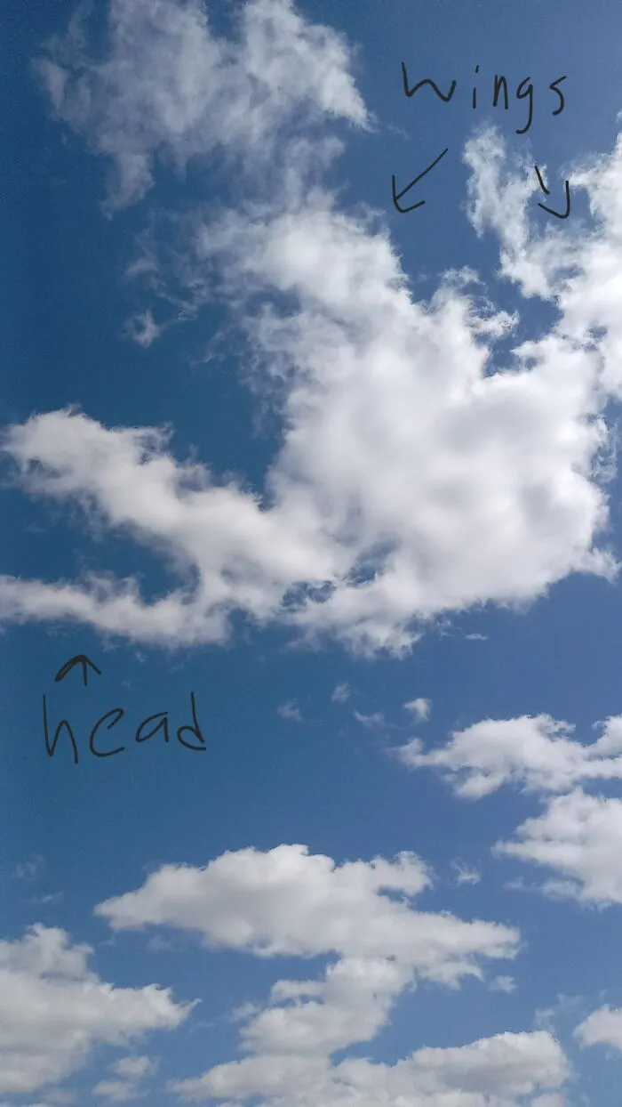 Dragon Of The Clouds