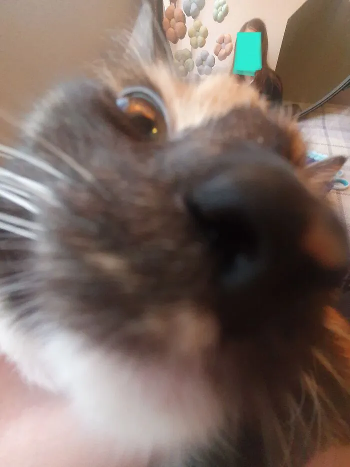 Big Nose