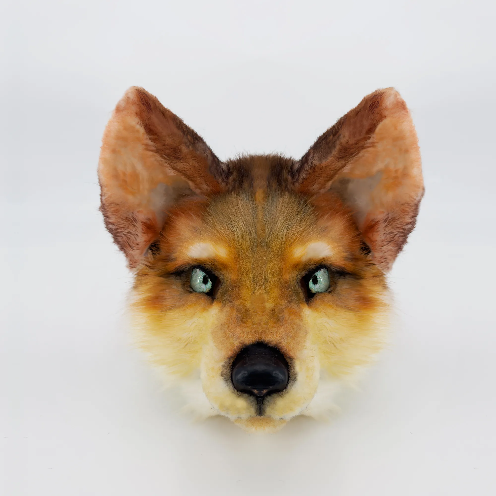 Fox Fursuit Handmade
