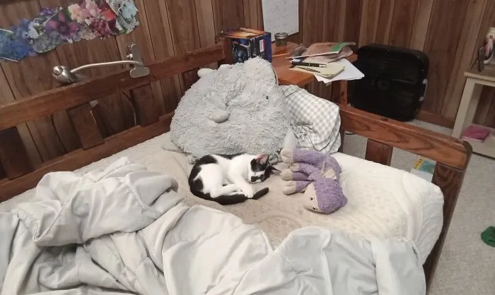 It's His Bed Now