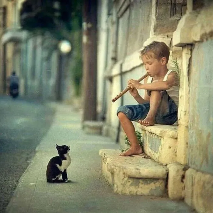 50 Examples Of The Most Amusing And Touching Cat Photos As Shared On This Insta Page