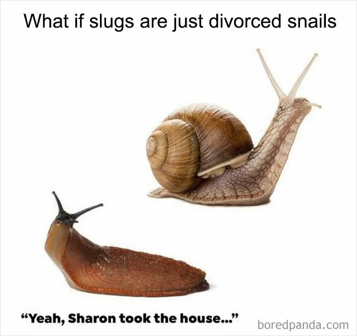 50 Weird Memes That Verge On Being Unhinged