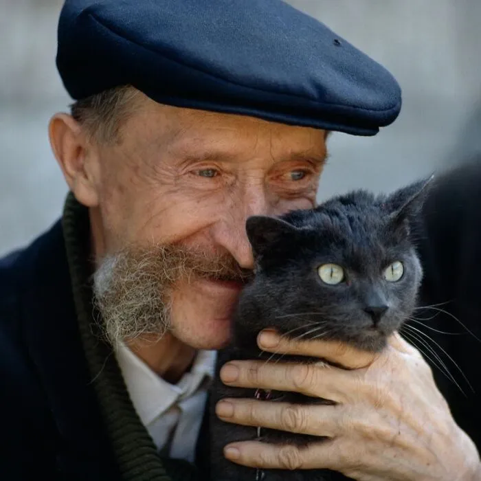 50 Fascinating Historical Photos That Might Change Your Perspective On Cats, As Shared By This Twitter Page (New Pics)