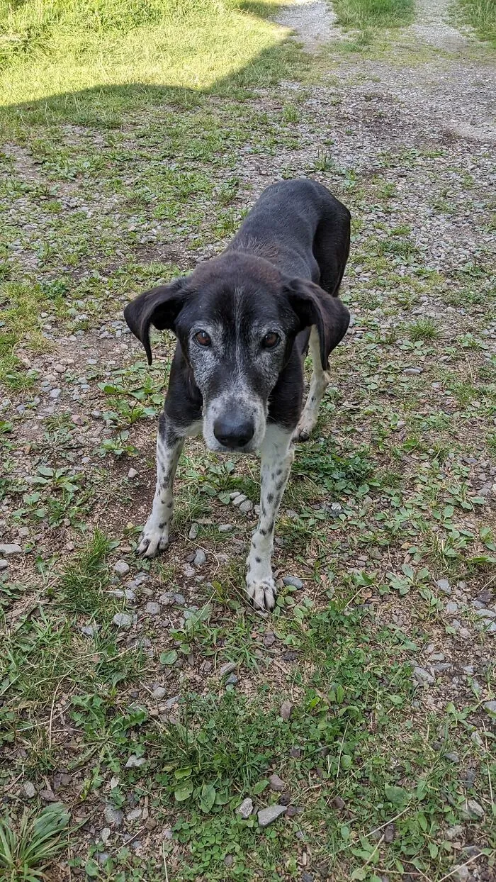 My Airbnb In The Heart Of Transylvania 🧛‍♂️🇷🇴 Comes With This 17 Year-Old Cutie