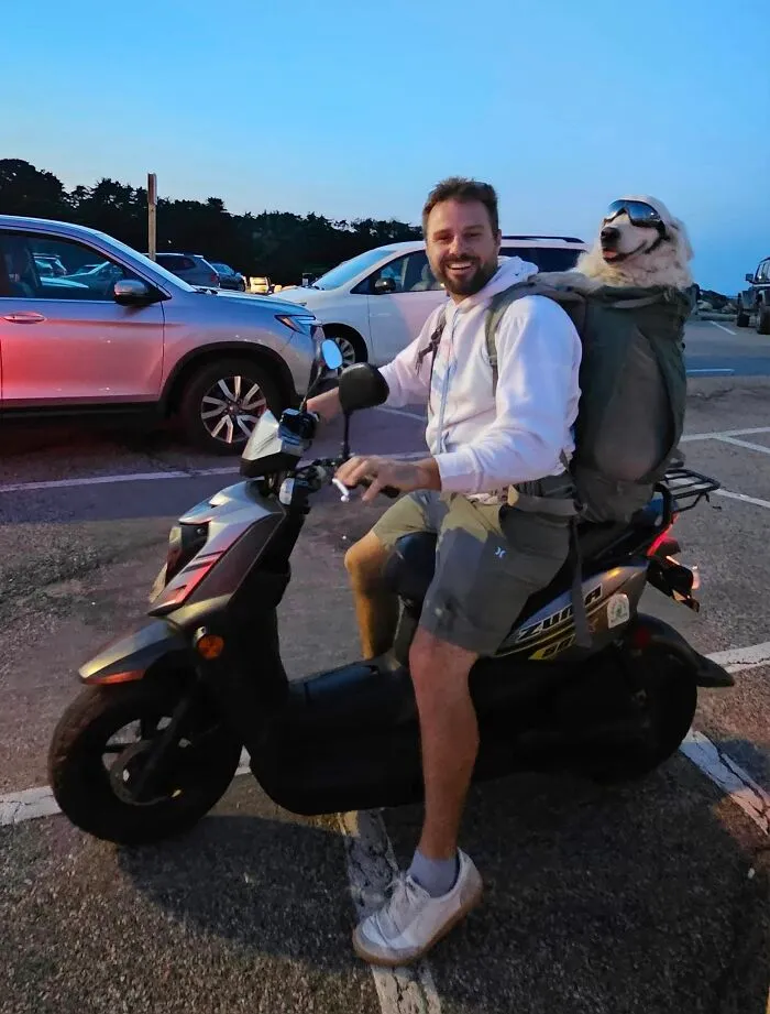 What A Good Pup!