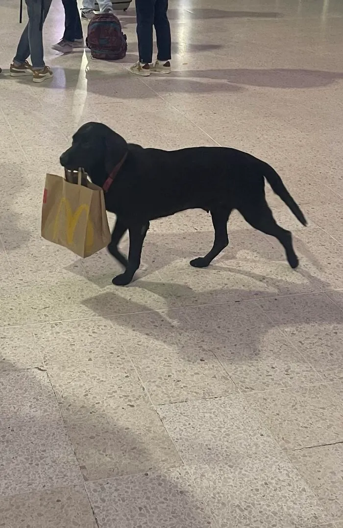 One Mcbark Please