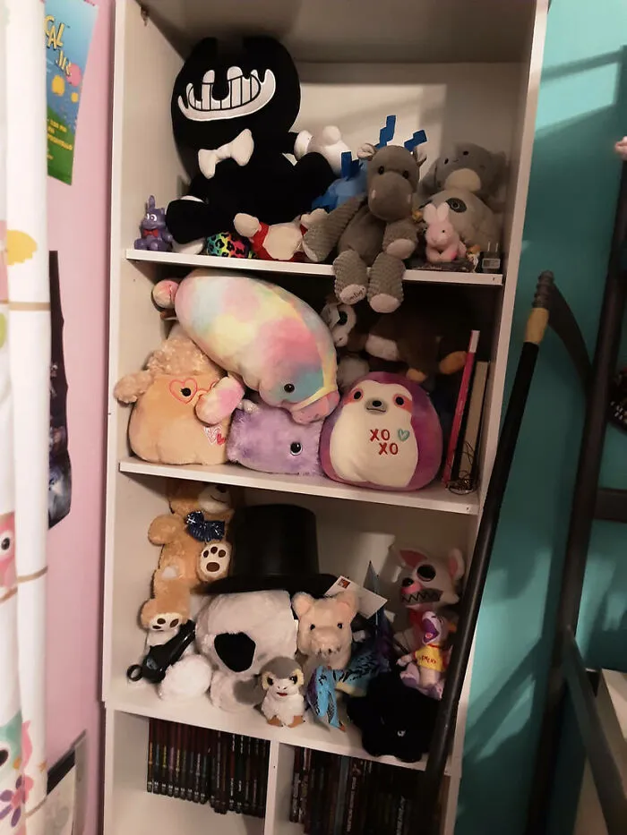 I Have Too Many Stuffed Animals