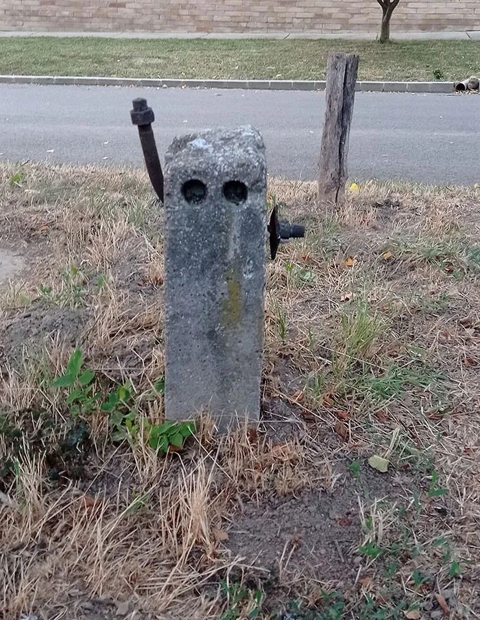 30 Times People Stumbled Upon Pareidolia And Shared It In This Facebook Group (New Pics)