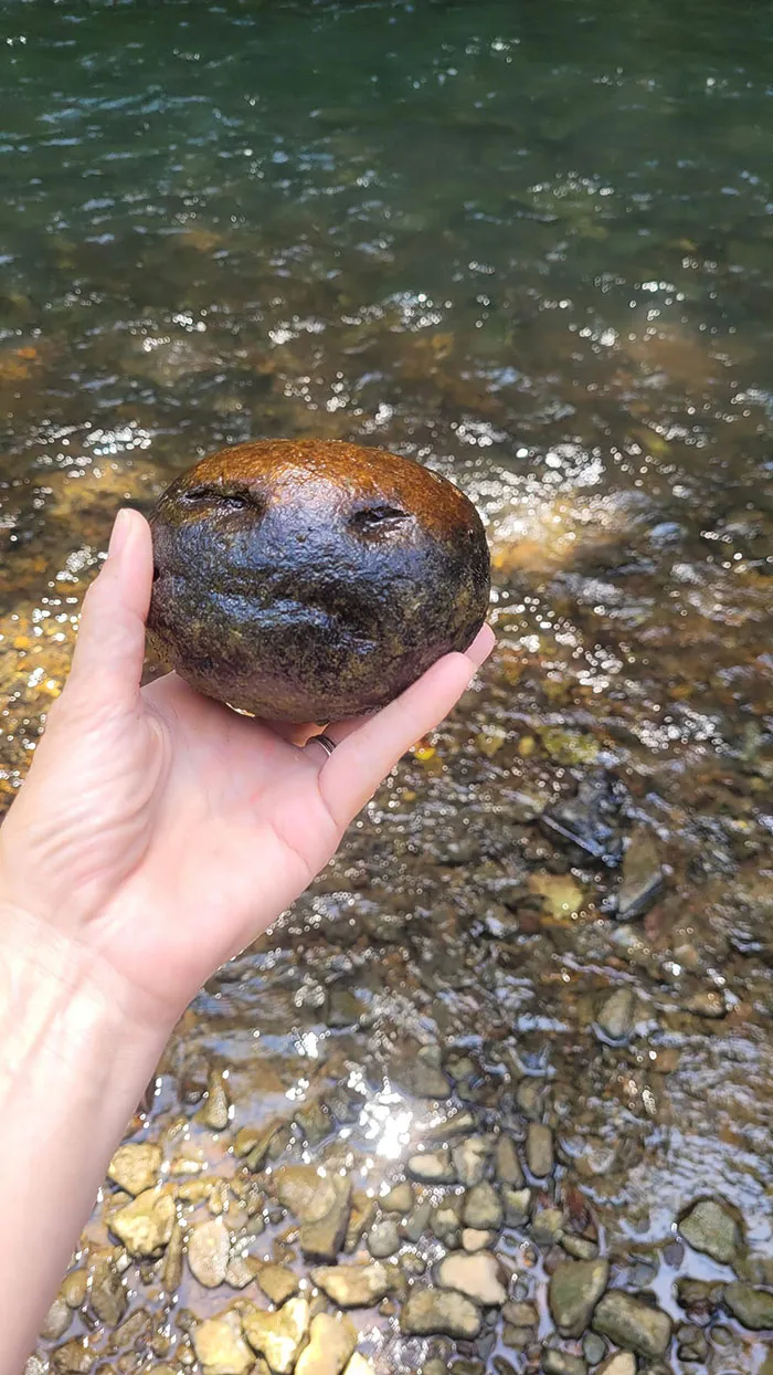 30 Times People Stumbled Upon Pareidolia And Shared It In This Facebook Group (New Pics)