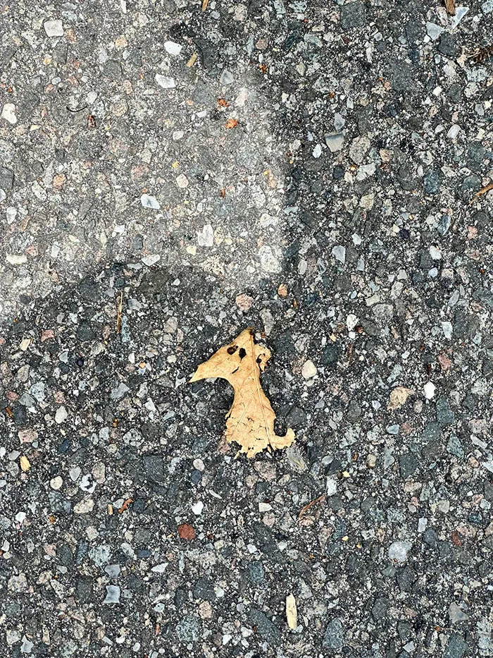 30 Times People Stumbled Upon Pareidolia And Shared It In This Facebook Group (New Pics)
