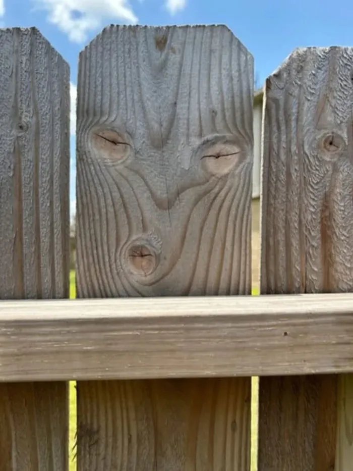 30 Times People Stumbled Upon Pareidolia And Shared It In This Facebook Group (New Pics)
