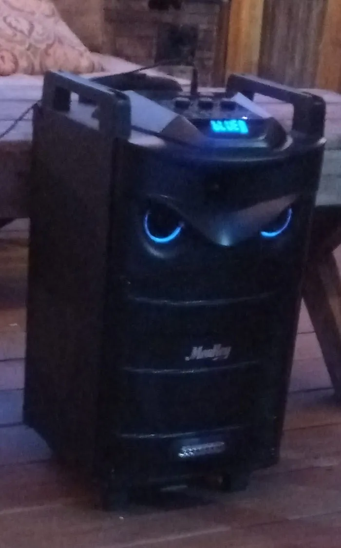 30 Times People Stumbled Upon Pareidolia And Shared It In This Facebook Group (New Pics)