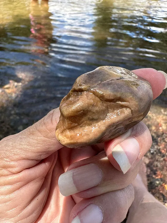 30 Times People Stumbled Upon Pareidolia And Shared It In This Facebook Group (New Pics)