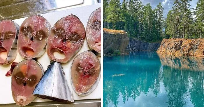 30 Times People Stumbled Upon Pareidolia And Shared It In This Facebook Group (New Pics)