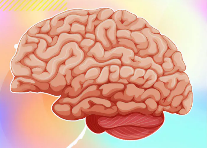 35 Fascinating Facts That People Only Learned Now And Just Had To Share With Others (New Pics)