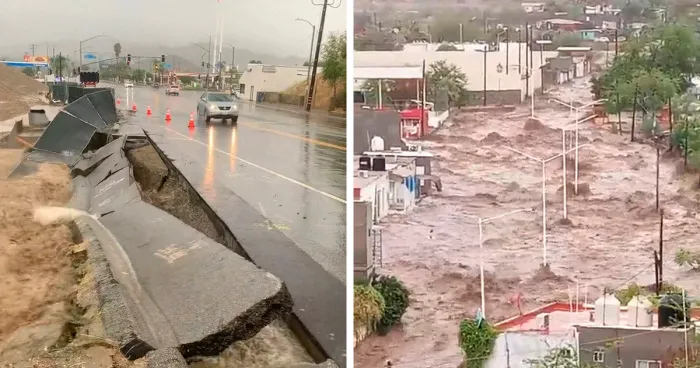 Earthquake And Storm Hit California, People Are Forced To Climb Trees To Escape Floodwaters And Mudslides