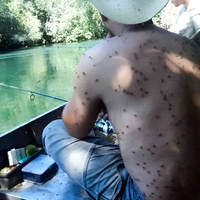 Just A Little Itch