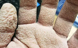 50 Painfully Uncomfortable Pics No One Asked For Ever