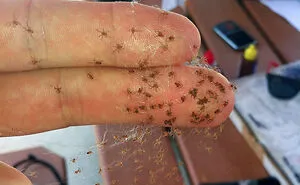 50 Painfully Uncomfortable Pics No One Asked For Ever