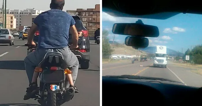 “Scared The Bejesus Out Of Me”: 50 Times People Almost Had A Heart Attack But Took A Second Look (New Pics)