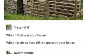 50 Very Clean Funny Pics In Case You Needed A Good Laugh