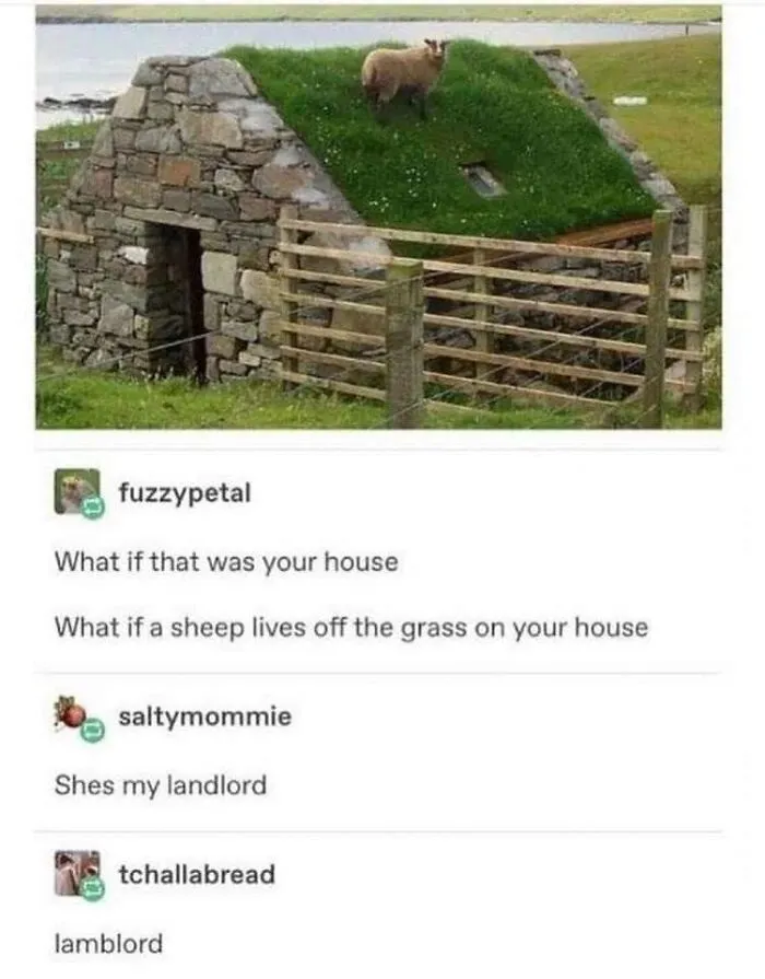 Very-Clean-Funny-Pics-Memes