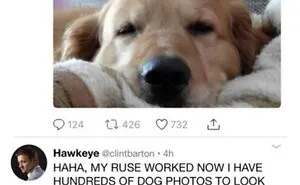 50 Very Clean Funny Pics In Case You Needed A Good Laugh