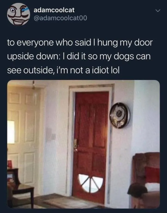50 Very Clean Funny Pics In Case You Needed A Good Laugh