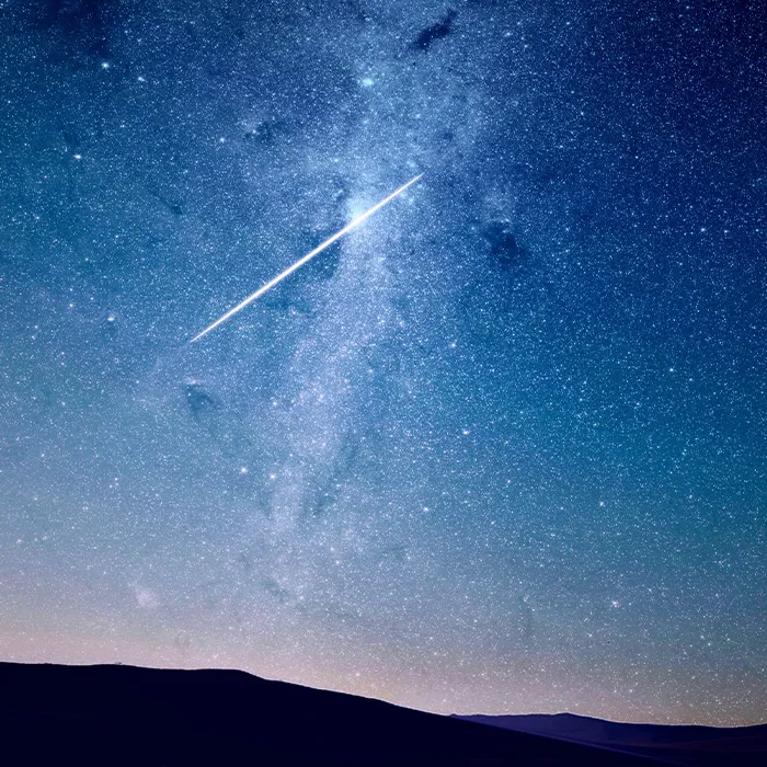 116 Weird Facts That You Just Have To Know