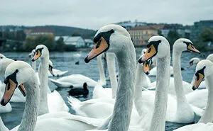 116 Weird Facts That You Just Have To Know