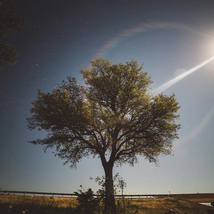 116 Weird Facts That You Just Have To Know