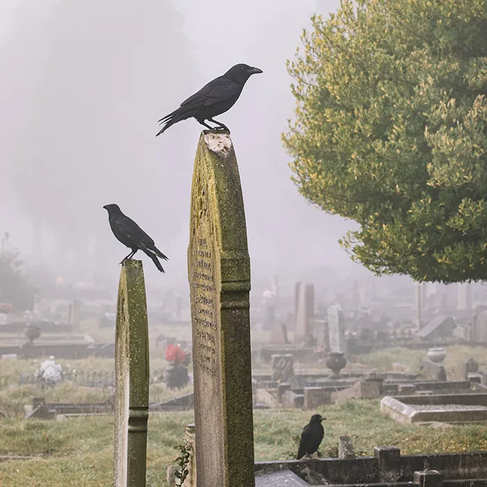 116 Weird Facts That You Just Have To Know