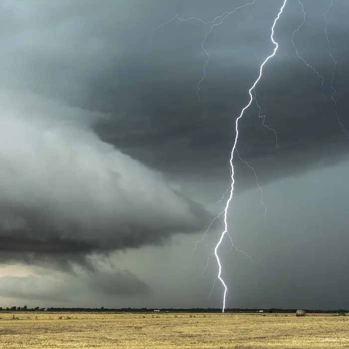 116 Weird Facts That You Just Have To Know