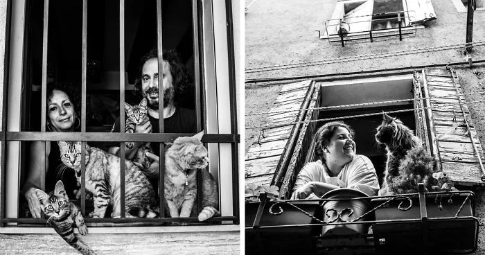 I Took Photos Of Window Cats In Venice, And Here Are 20 Of The Best Ones