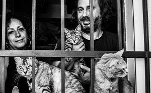 I Took Photos Of Window Cats In Venice, And Here Are 20 Of The Best Ones