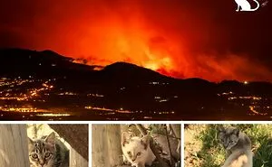 Wildfires Rapidly Spreading Closer To Our Area